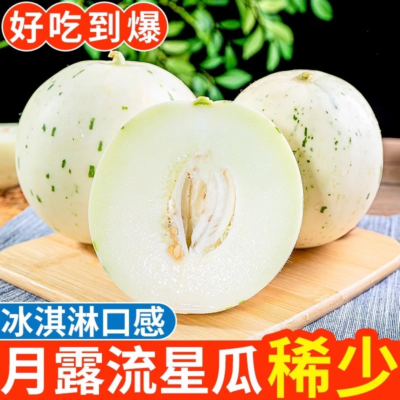 【夏日爆品】山东梦露流星甜瓜现摘现发当季新鲜水果冰淇淋口感甜