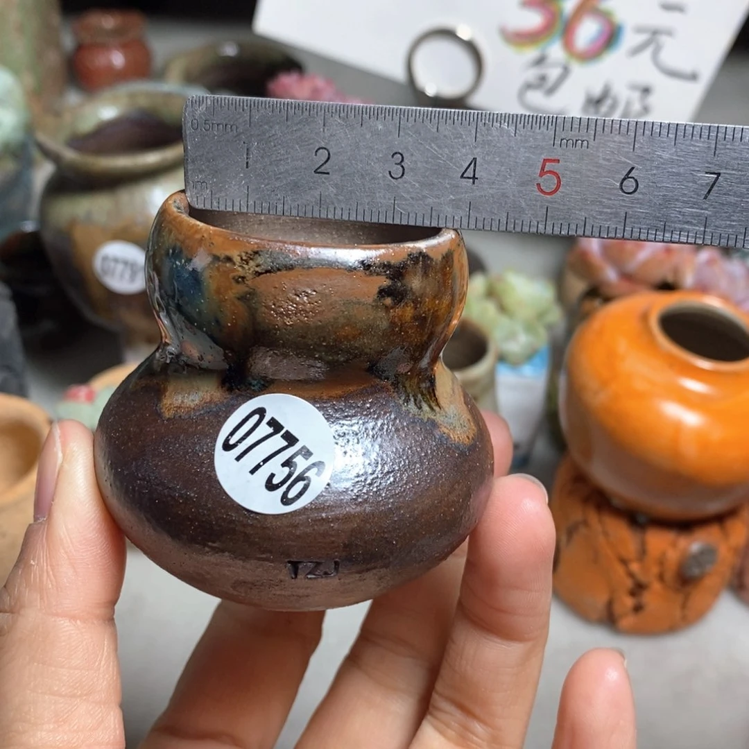 花盆拍5送一个小礼物