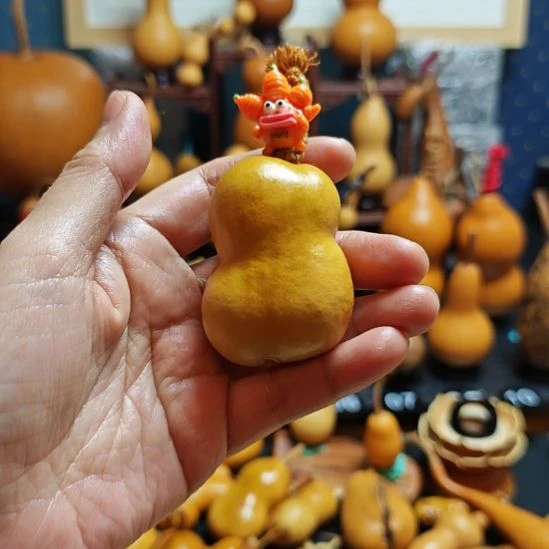 瑾***若直播间链接葫芦葫芦