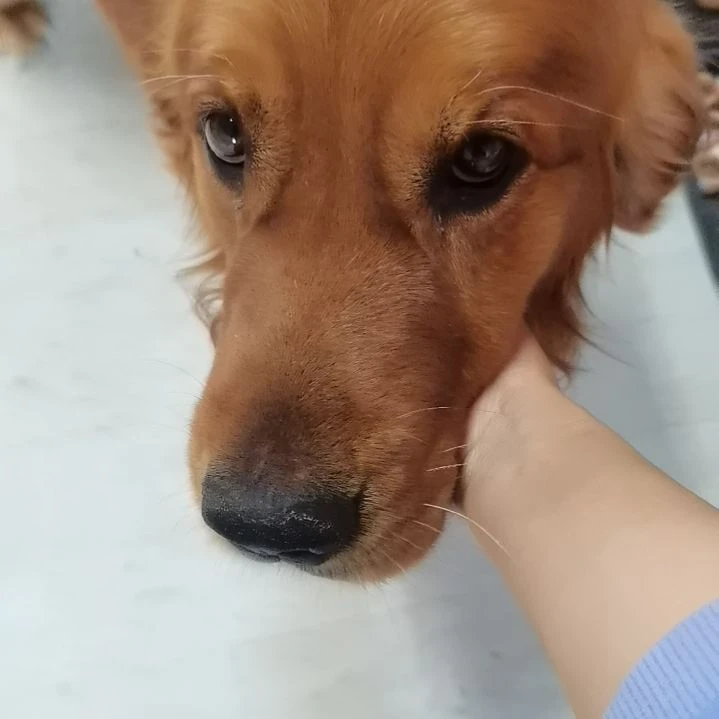 专拍花盆勿拍2555885855566