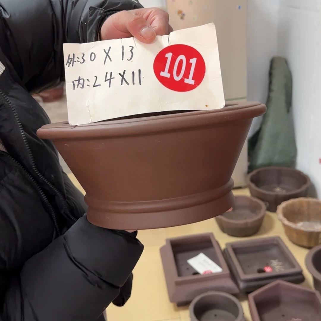 紫砂花盆呜呜呜呜