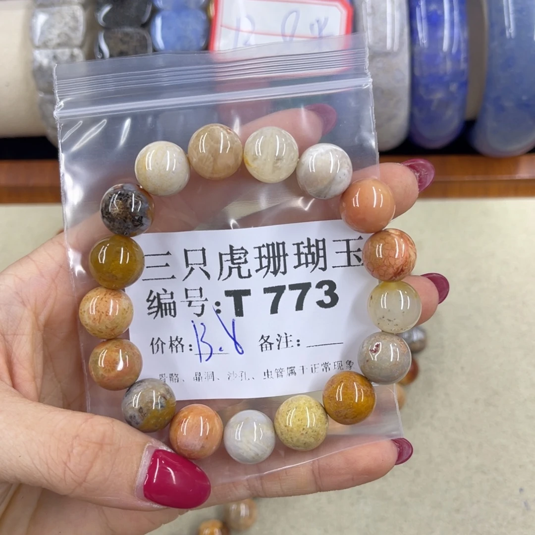 阿***厂硅化珊瑚（珊瑚玉）h未镶嵌