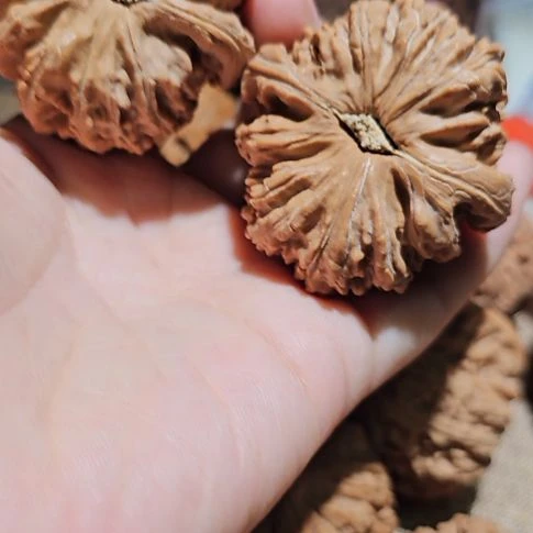 吊坠文玩核桃45闷白