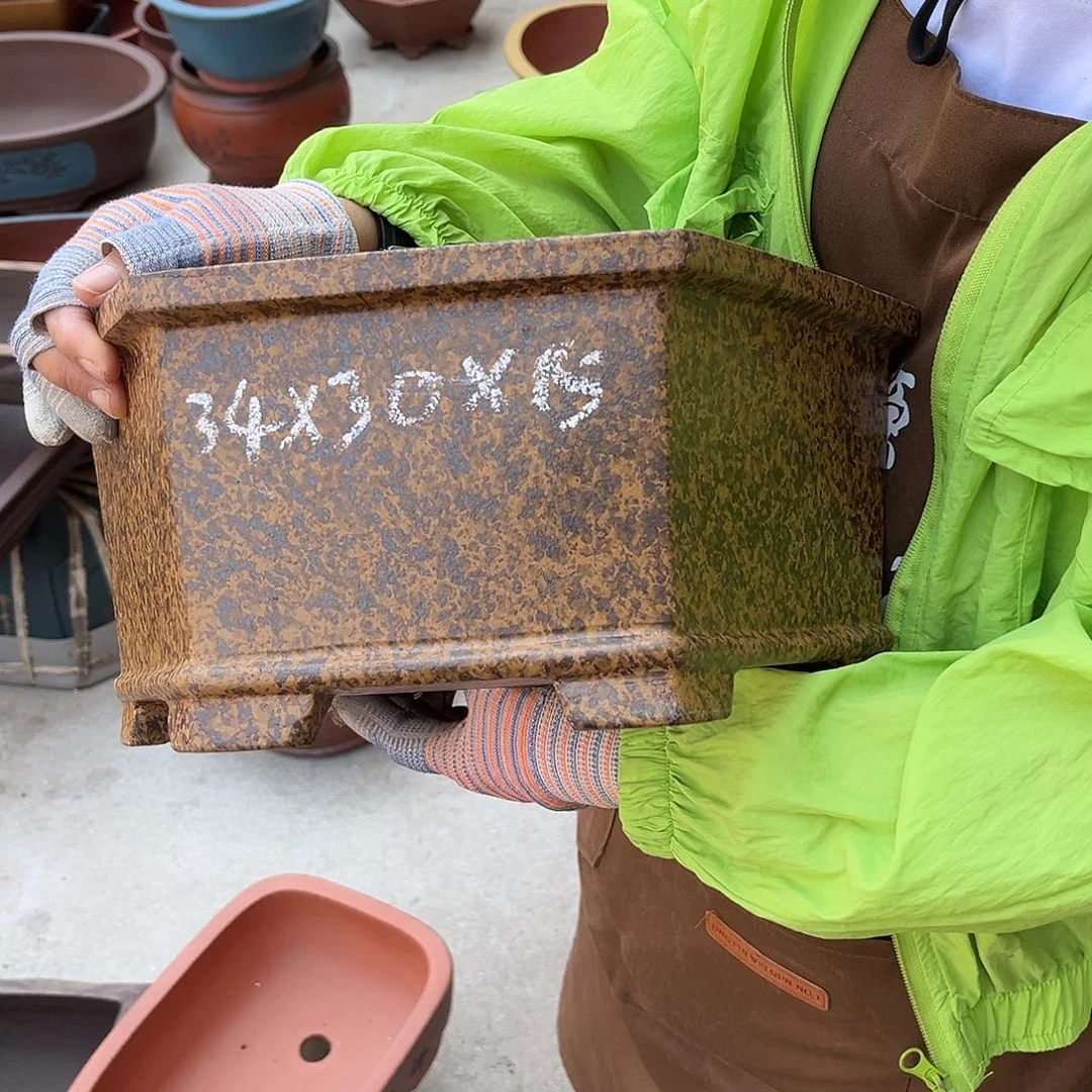 紫砂花盆盆景艺术