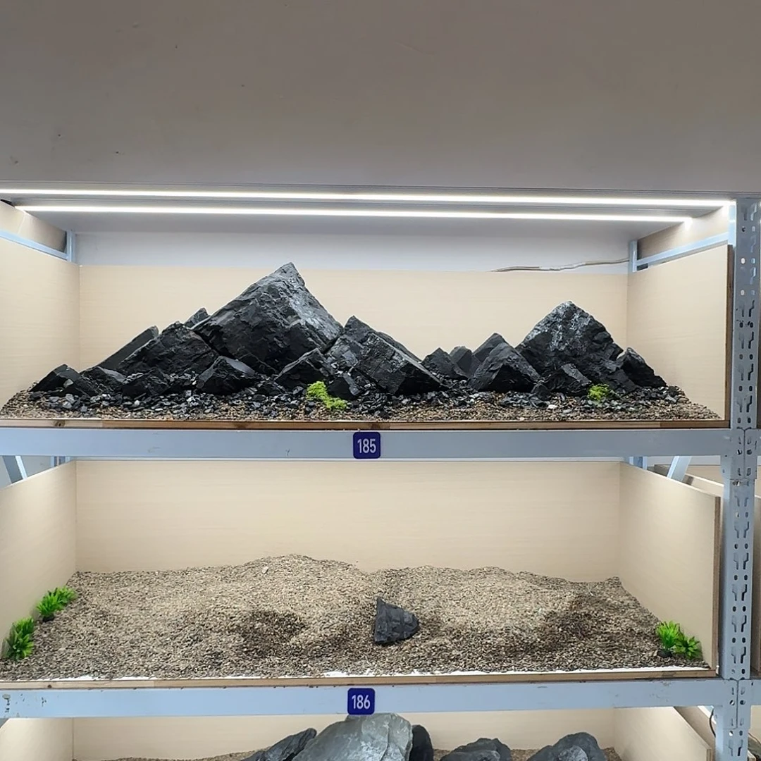 185号造景送黑色小碎石多一些