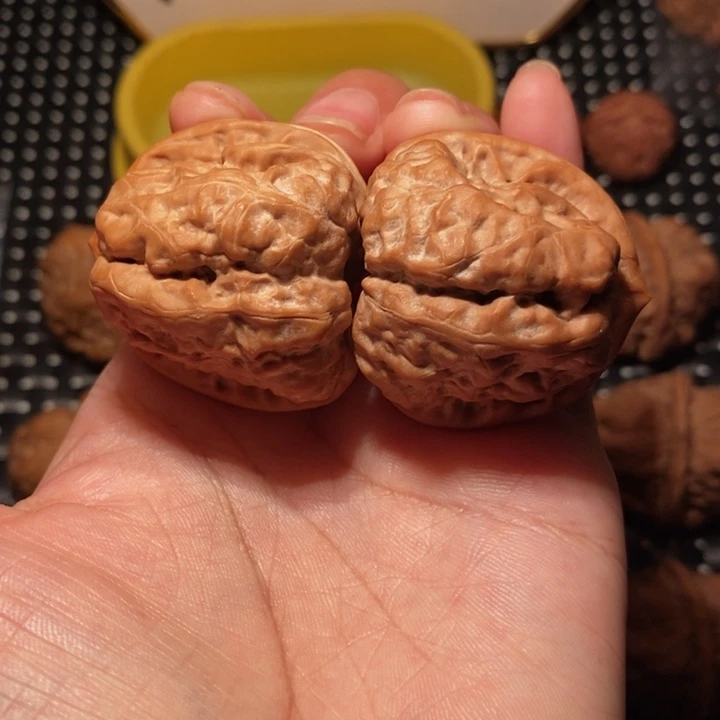 文玩核桃把件四开八腿