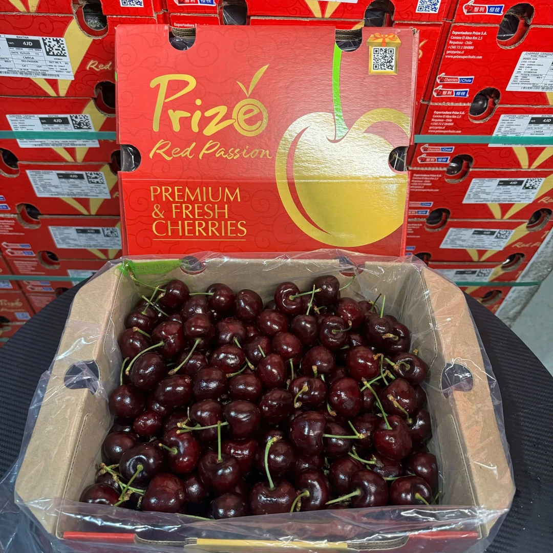 【乐鲜果园】智利海运桑提娜车厘子4J进口樱桃 内附果径卡