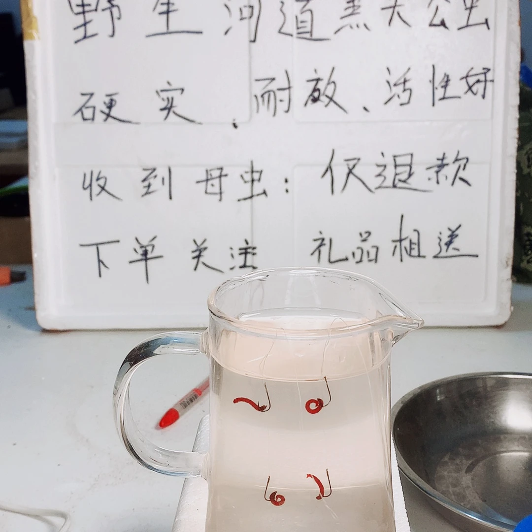 精品鸡血红拉饵牙子