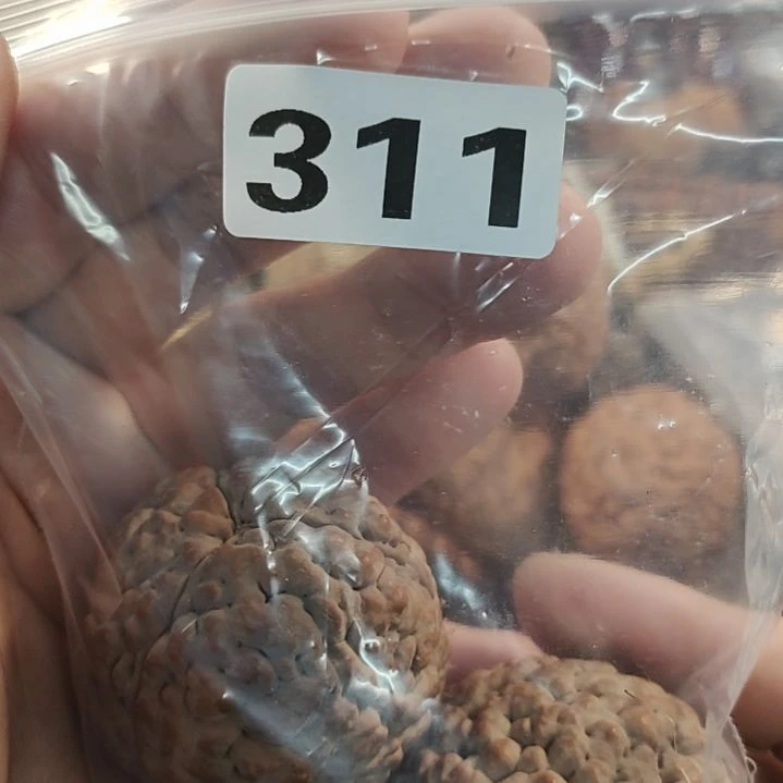 文玩核桃吊坠小****叫文玩核桃