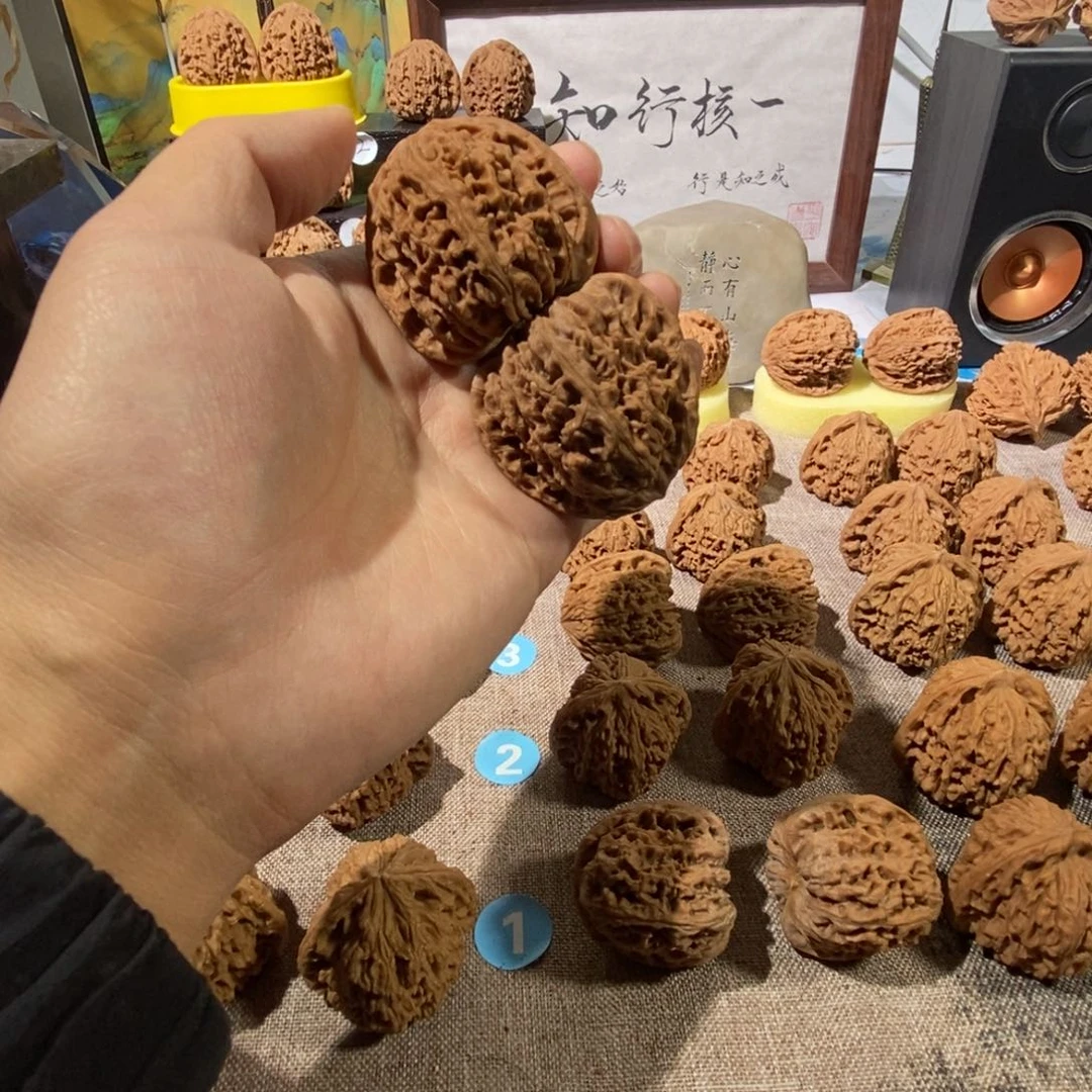 木质类43尺50克一代