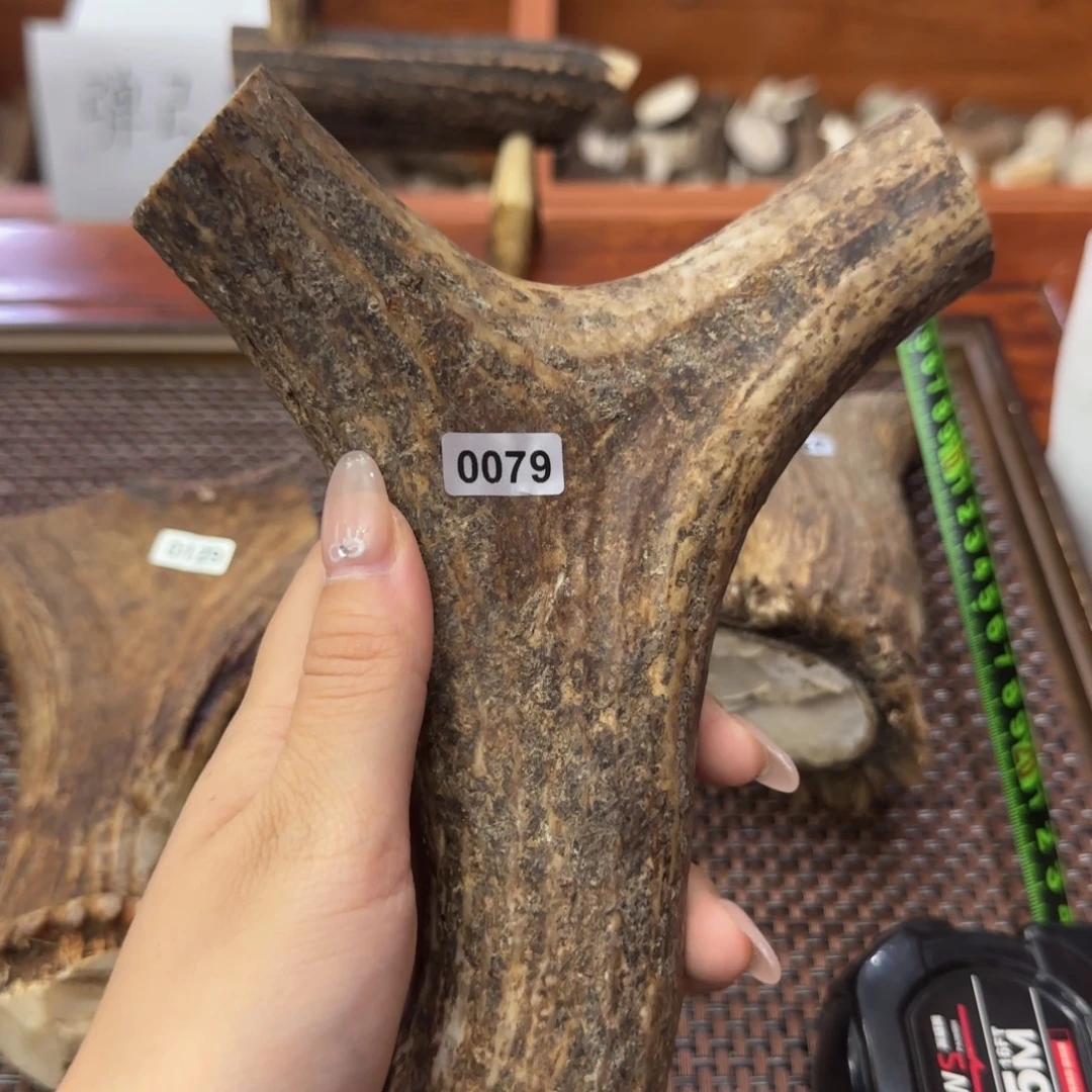 鹿骨其他0079弹弓21×14×4cm