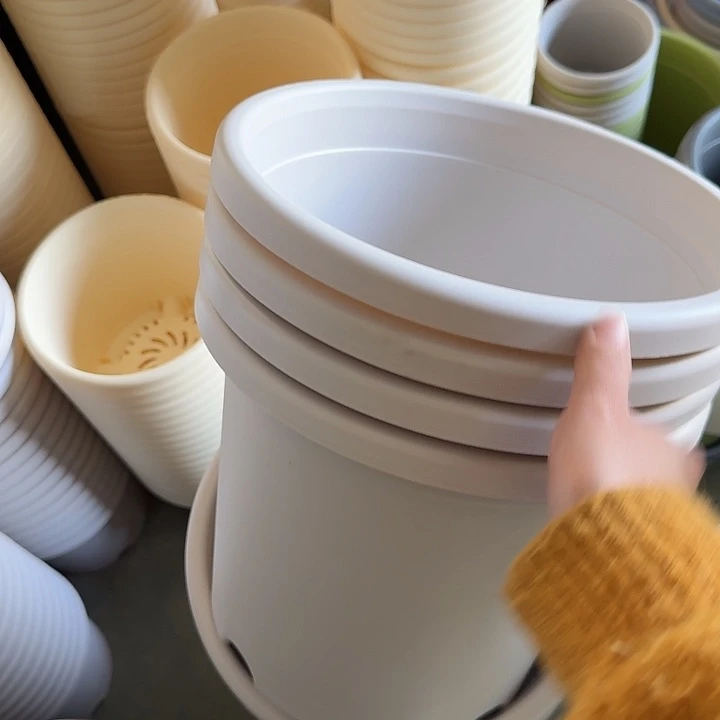 微瑕5#口径29灰白5个无托