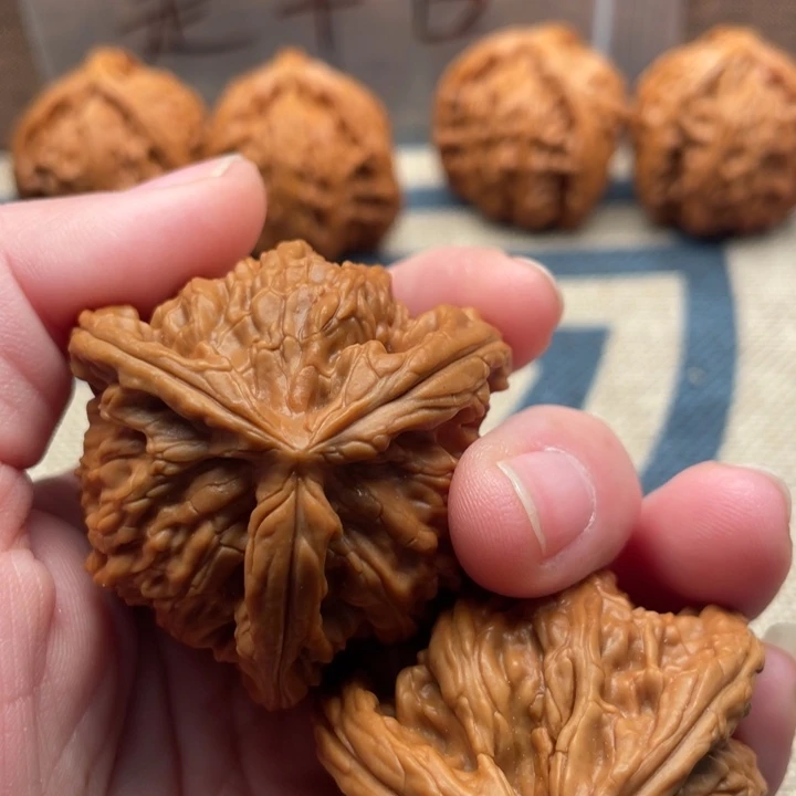 0***5核桃白狮子43核桃