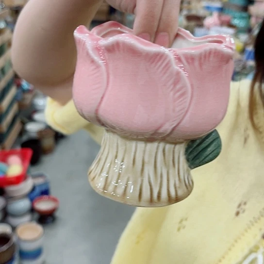 花盆凑单福利满10元发货！