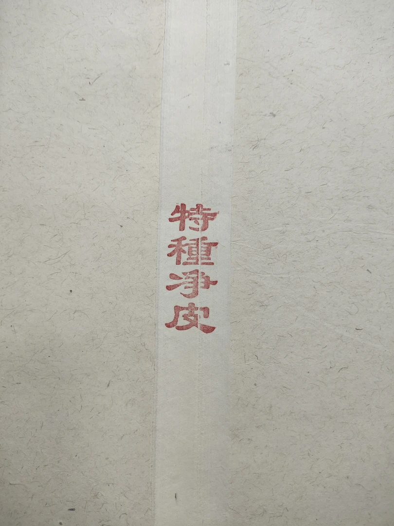 12年特种净皮四尺书法国画山水专用参展出作品10张试用装