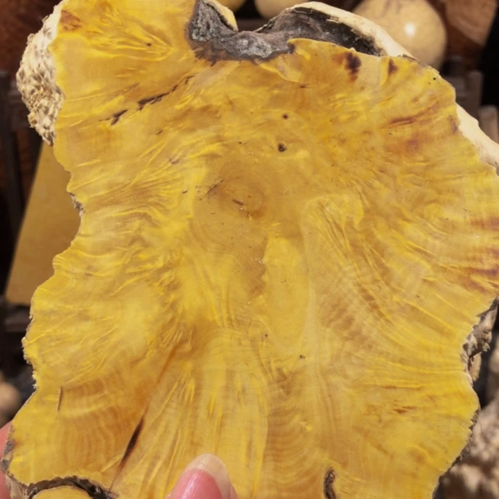 木德木料木料木料木料