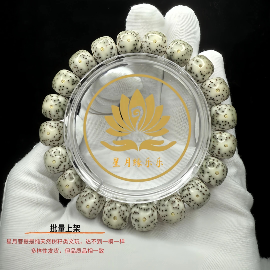 CV87原生态星月菩提手串丹凤眼12*11mm文玩好物【多样性发货】