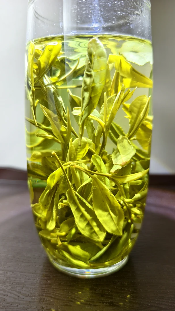 2025年正宗手工茶霍山黄芽绿茶原产地香醇新茶好喝