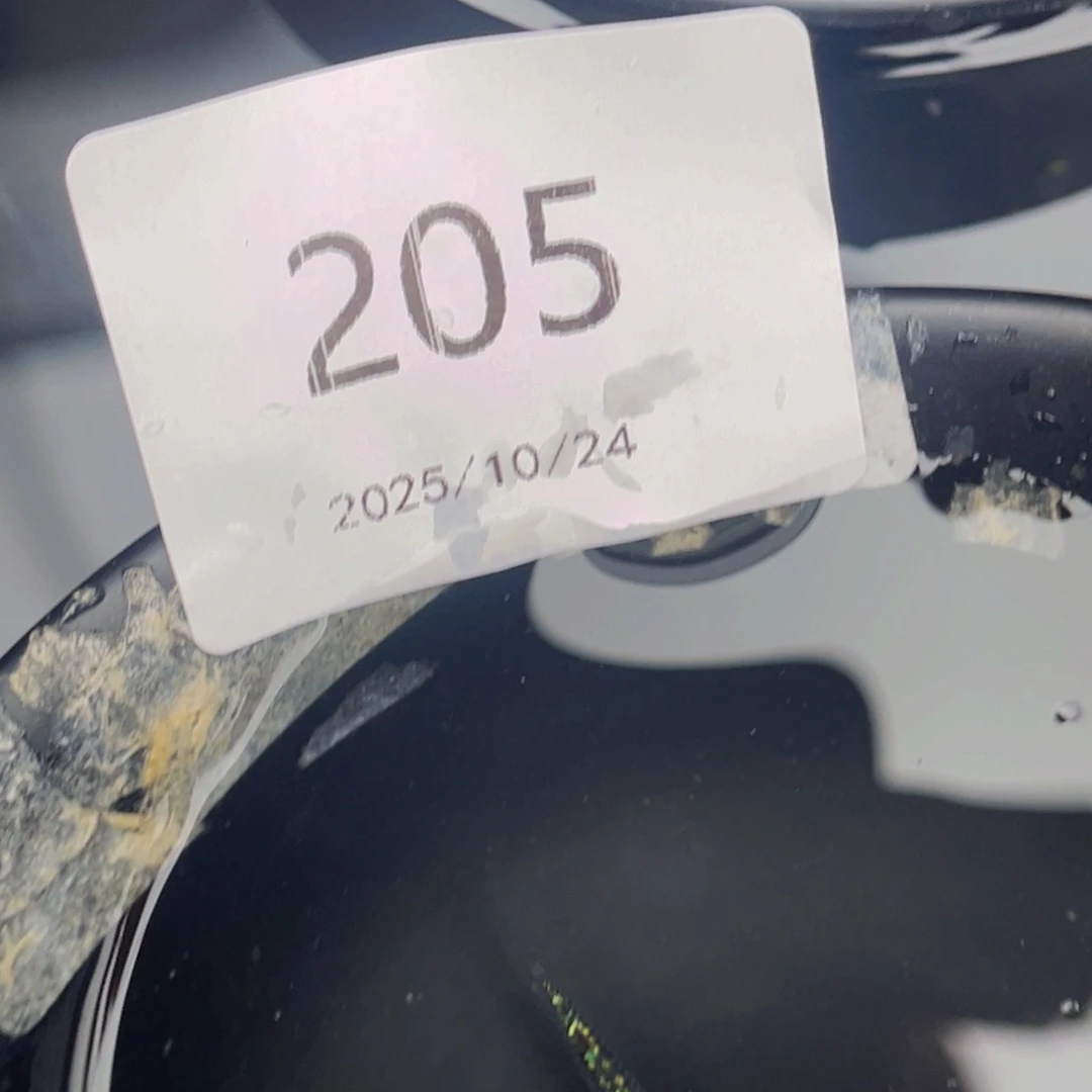 青鳉鱼205海王星无背鳍一对