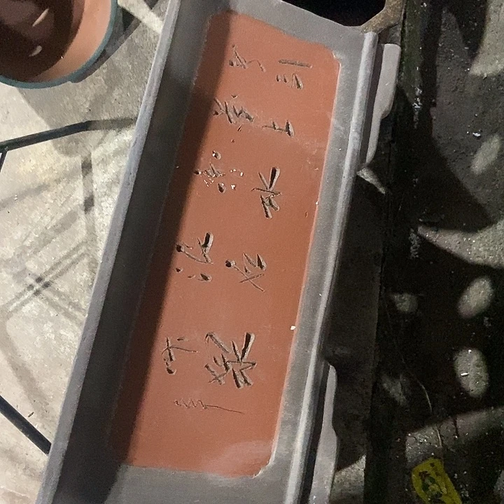 60 花盆花盆花盆花盆花盆