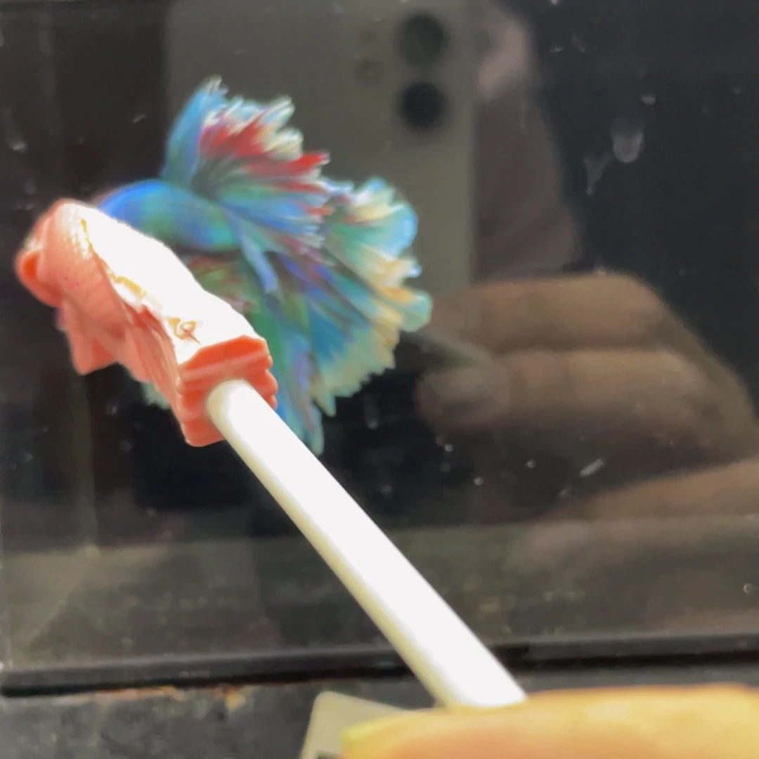海水鱼Hahahah517