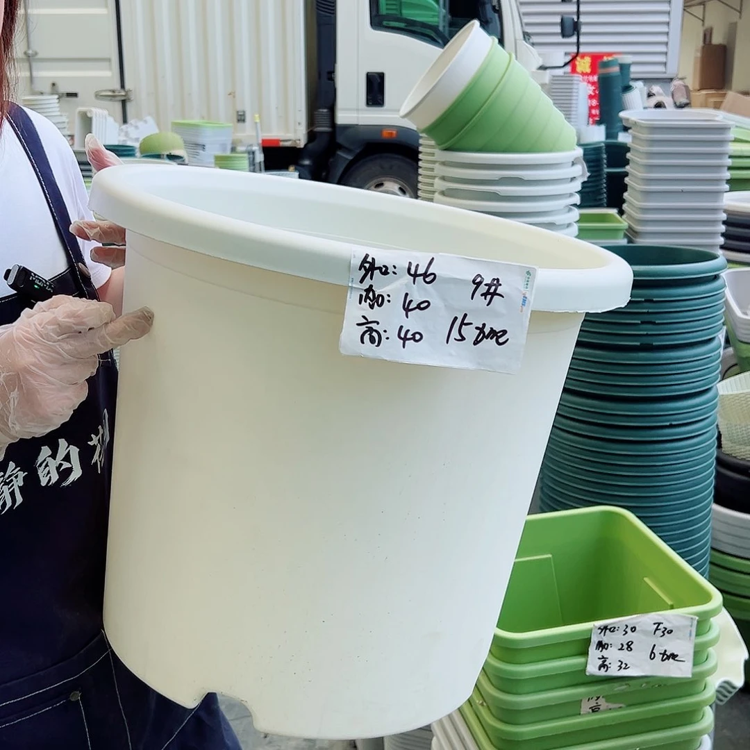 四季盆9#白色4个无托
