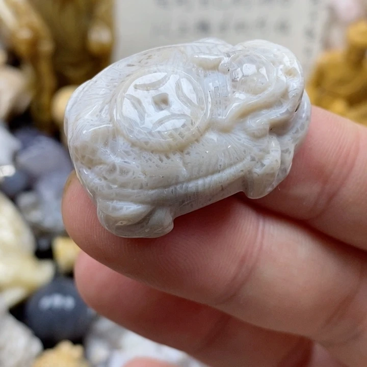 颈饰未镶嵌硅化珊瑚（珊瑚玉）小