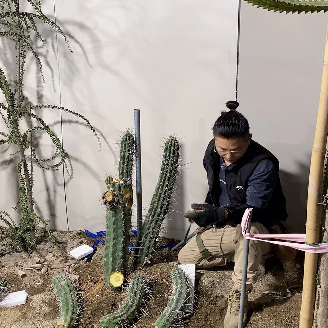 9***媛6号拍品。