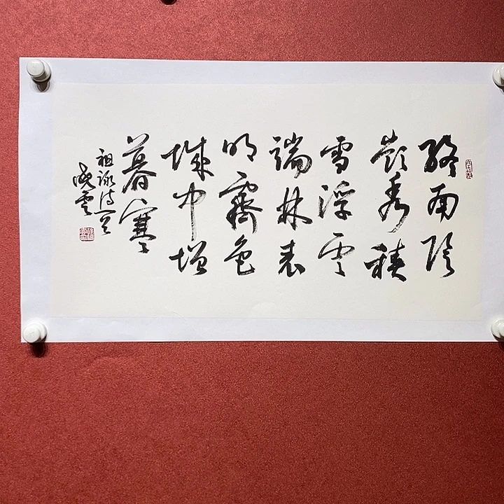 书法终南直播大漏
