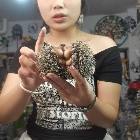 树脂cbnnnnnbbbbjjj