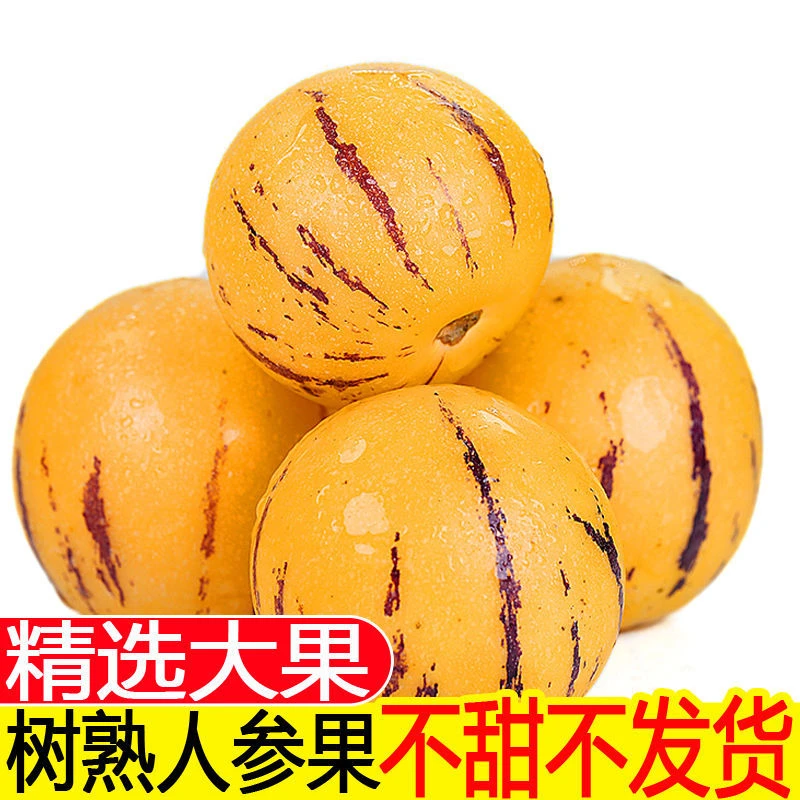 云南石林人参果黄心圆果香甜新鲜多汁低糖水果孕妇适宜1-5斤
