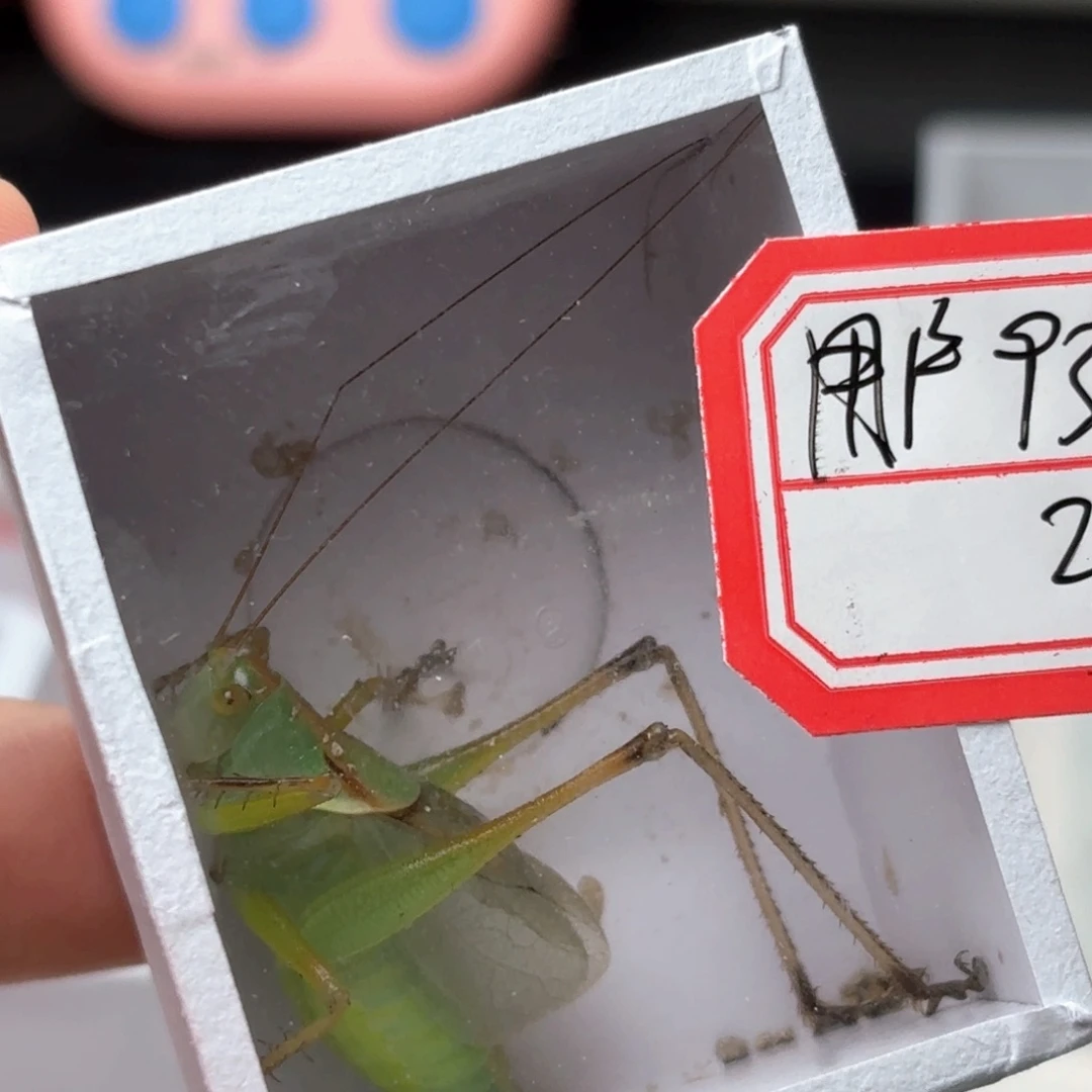 哈哈哈哈哈哈就哈