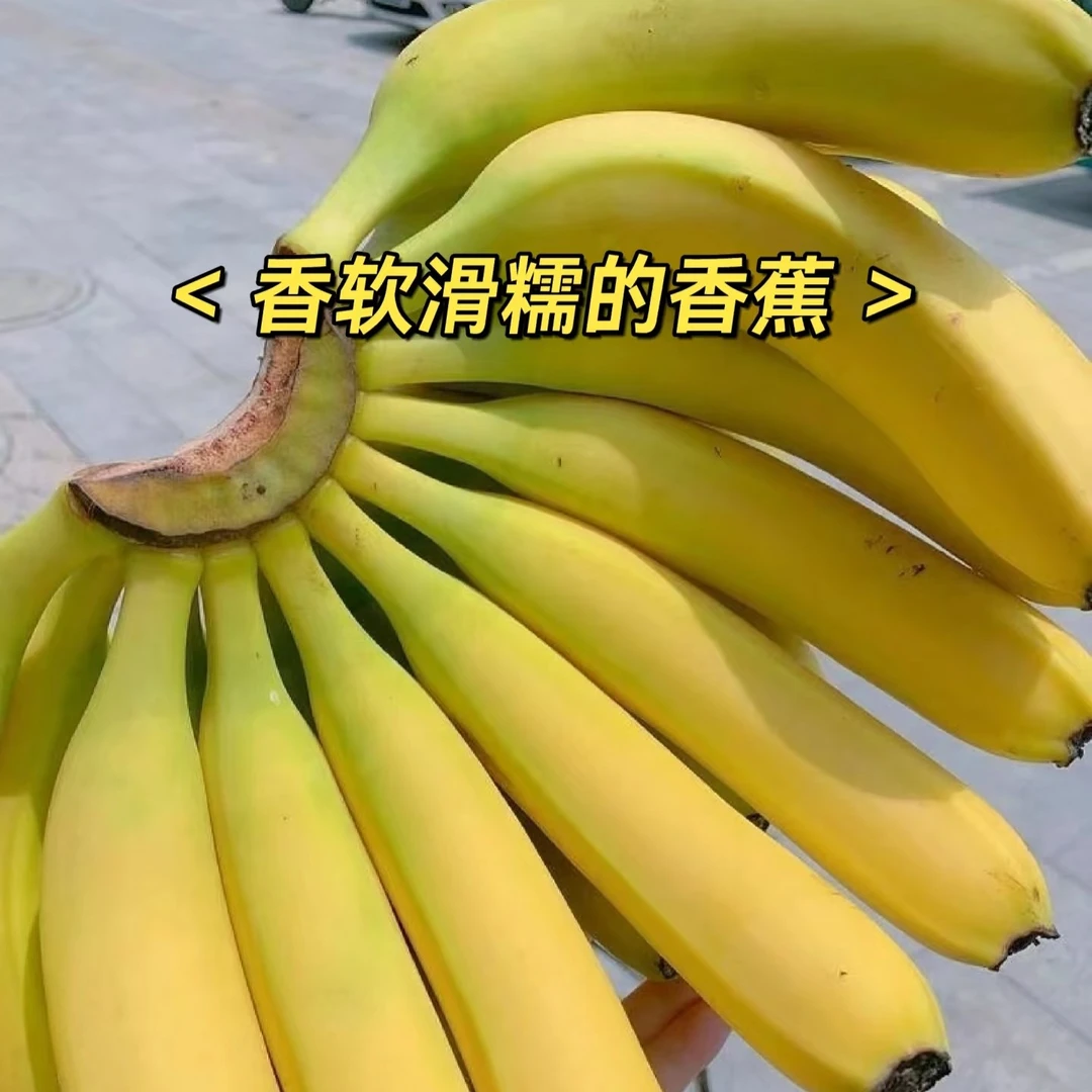 【香甜软糯】优质香甜海南香蕉