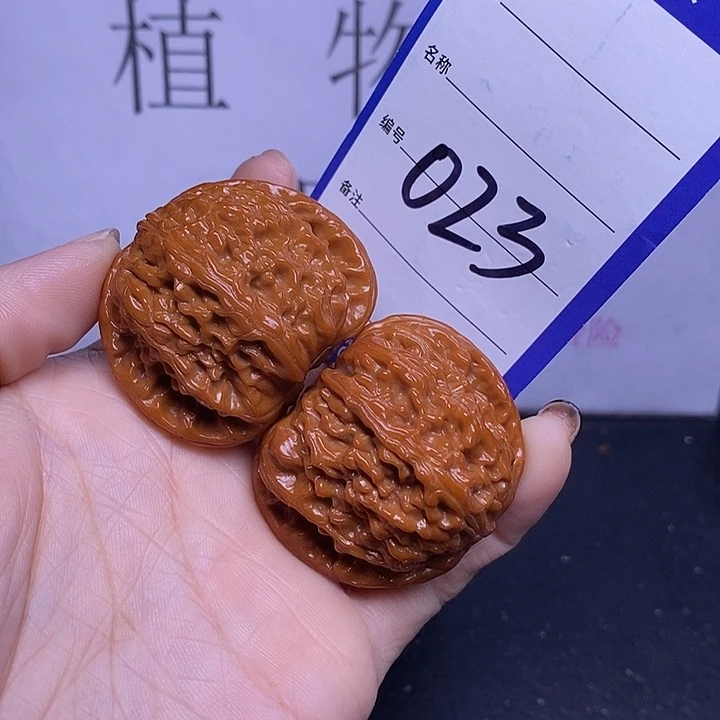文玩核桃把件023/42白狮子