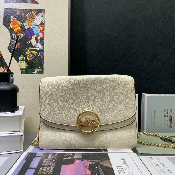 90新 COACH/蔻驰 22331斜挎包23*16