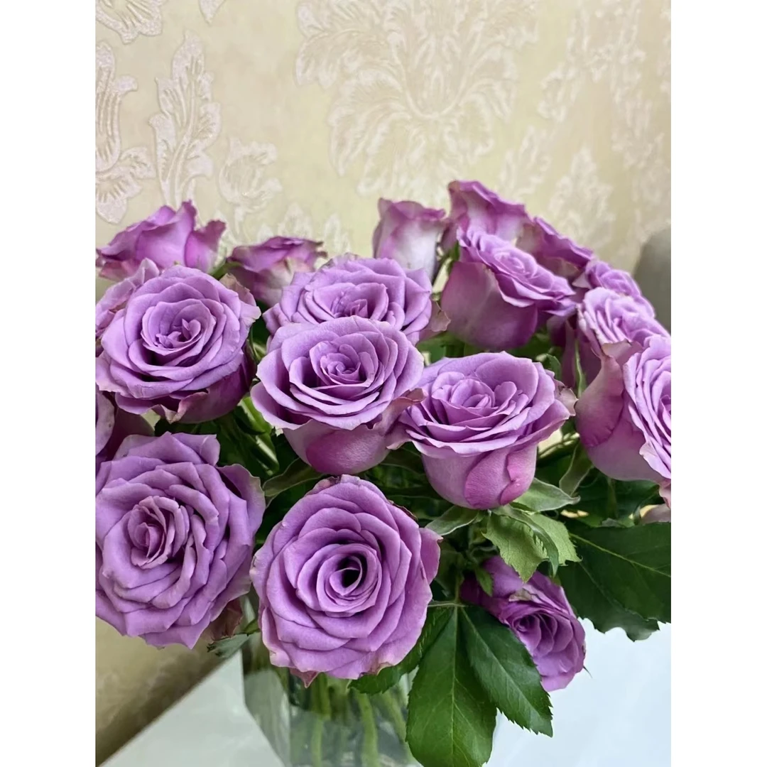 紫霞仙子玫瑰10支+紫边洋桔梗一大把+紫精灵康乃馨20支