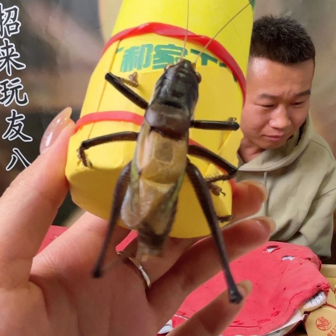 y***、三皮福福价格上链接