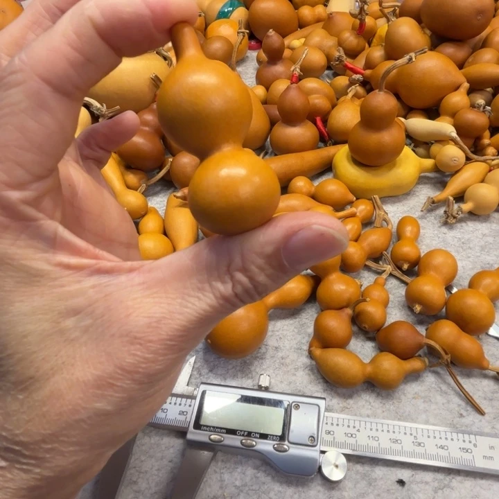 y*卖了一把天津嘴八包葫芦歪歪