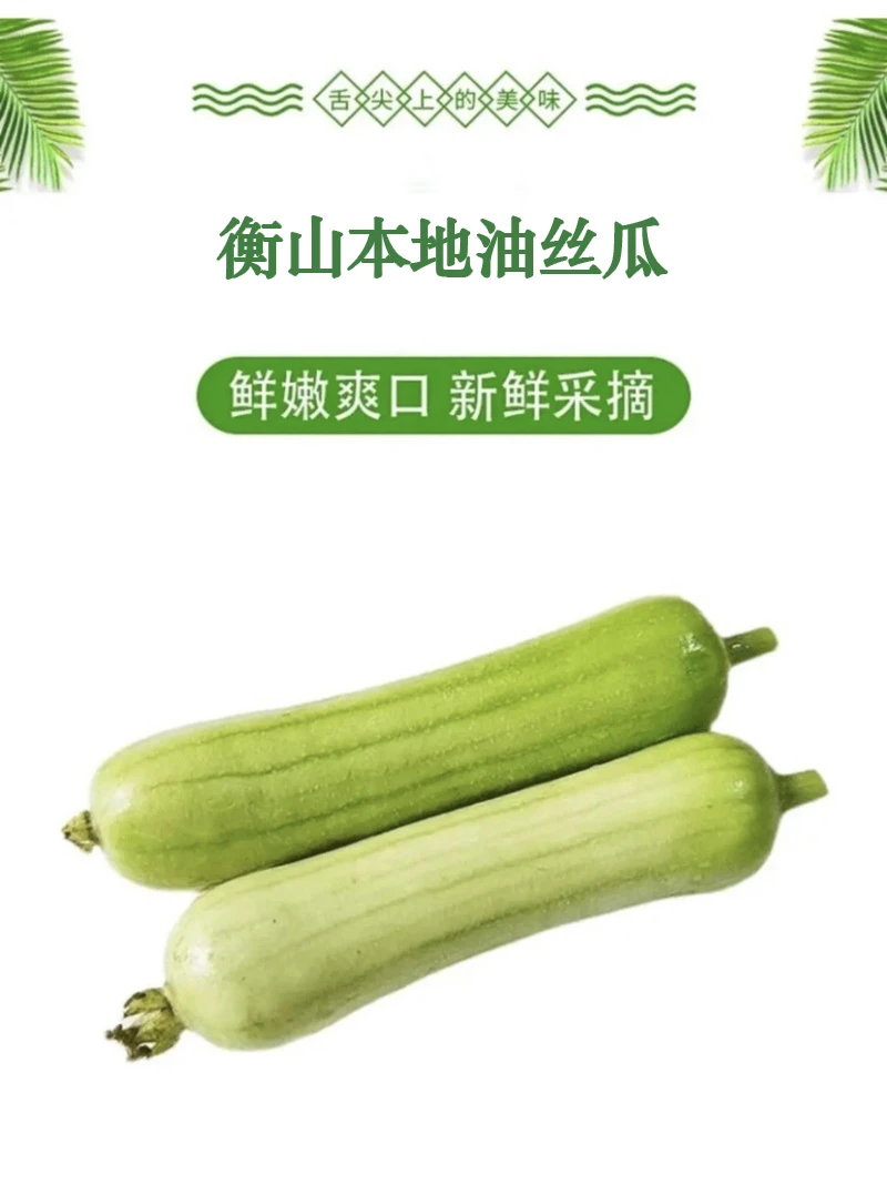 《舒婷专属》衡山本地油丝瓜4斤（新鲜当季）