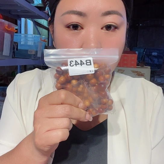 大果紫檀（缅甸花梨）443