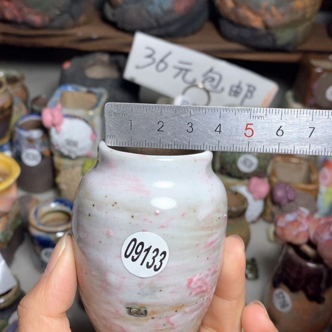 拍5送一个小礼物