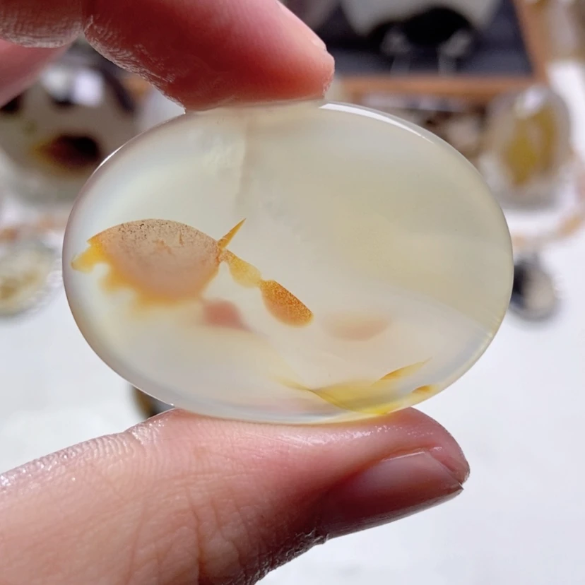 【闪购商品】玛瑙/玉髓颈饰未镶嵌