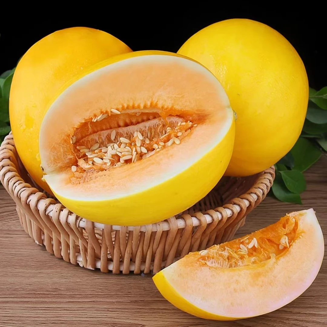 甘肃民勤沙漠蜜瓜新鲜当季水果清甜多汁果肉香甜民勤蜜瓜