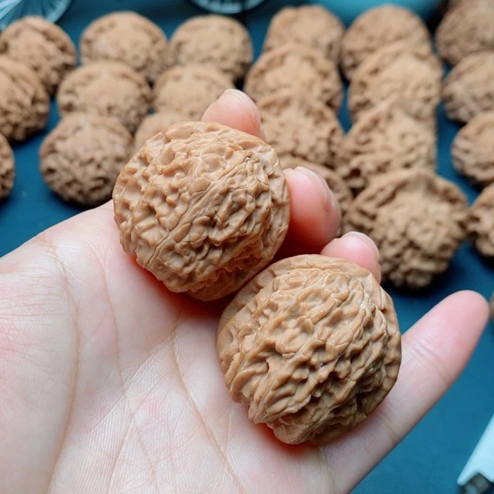 文玩核桃把件白狮子34全品