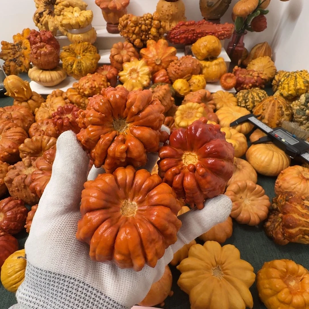 洁***遢墨西哥葫芦精品聚宝盆