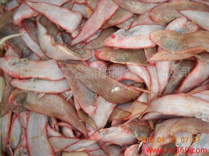 本地小渔船海捕，小踏板鱼，顺丰冷链包邮