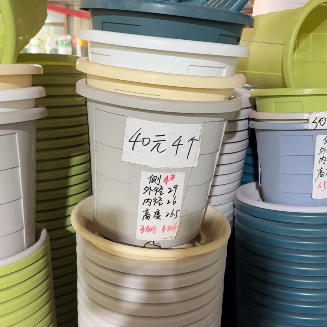 测4#口径29无拖果绿4个