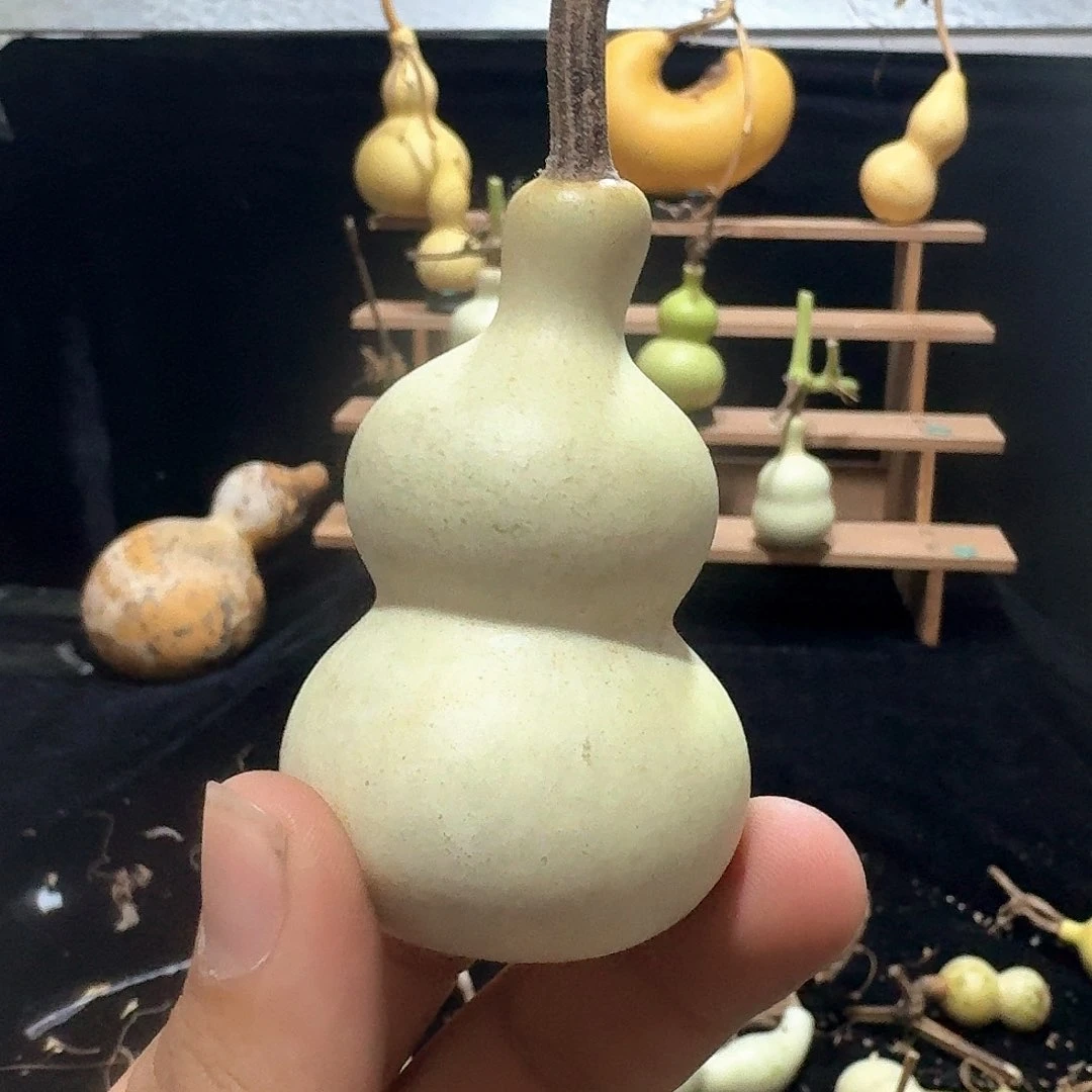 为*你八宝定向定向定向