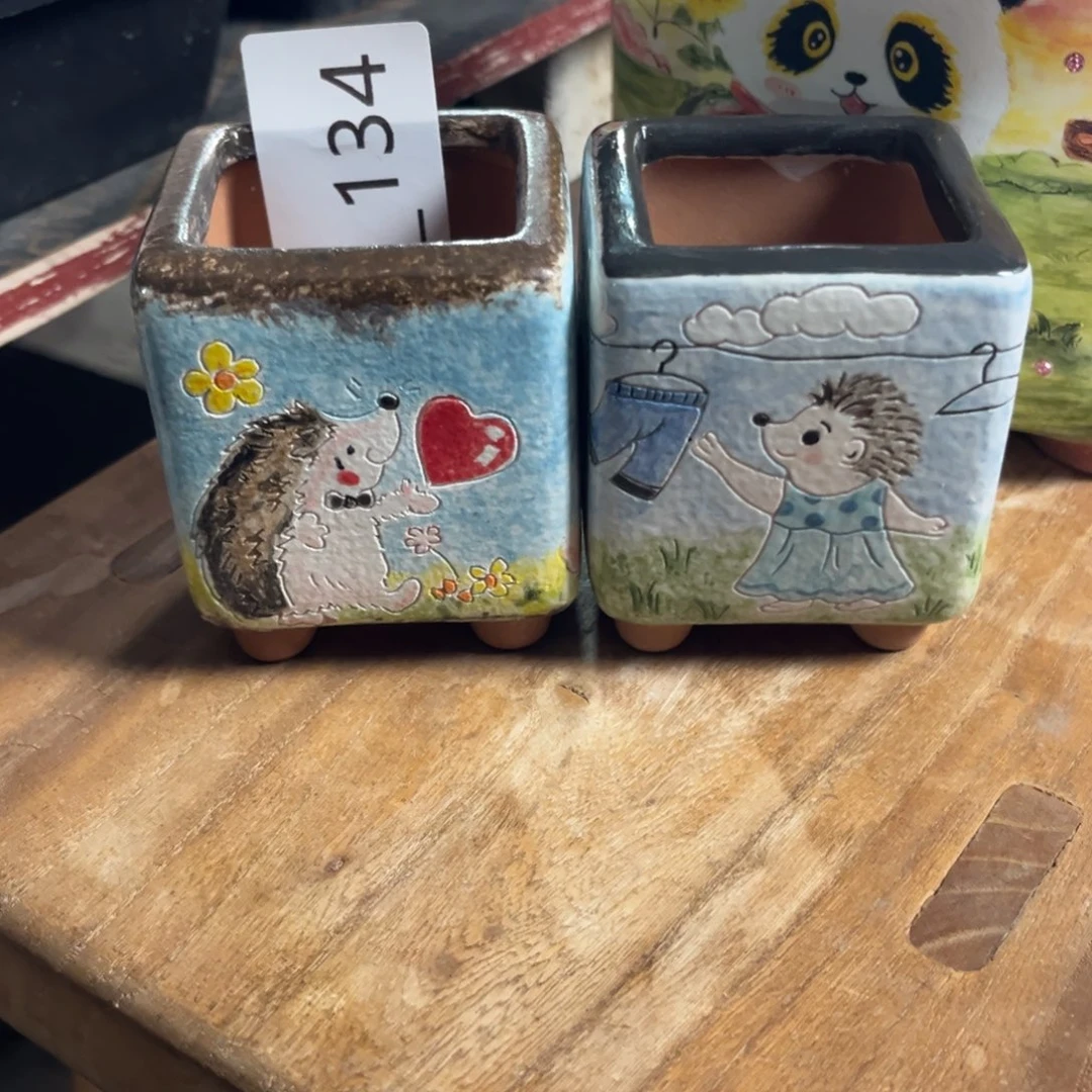 会***年134多肉花盆   2个