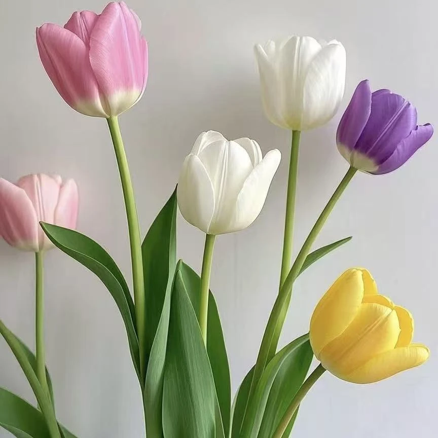 【海盛郁金香10枝】（任意三件包邮）